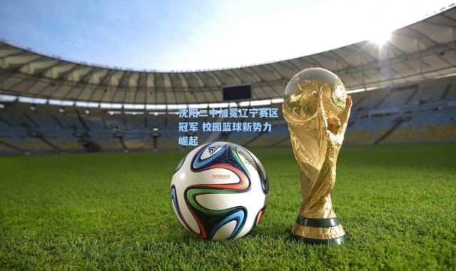 沈阳二中加冕辽宁赛区冠军 校园篮球新势力崛起