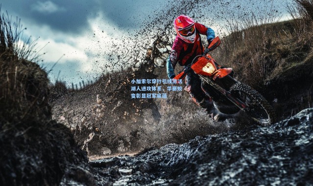 小加索尔穿针引线激活湖人进攻体系，华丽蜕变彰显冠军底蕴