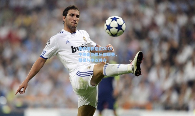 赛制革新后的2019中国击剑俱乐部联赛，赞誉与争议并存