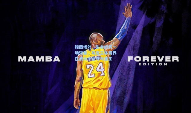 绿茵场外，生命的另一场较量，乌克兰体育界在战火中坚守与重生