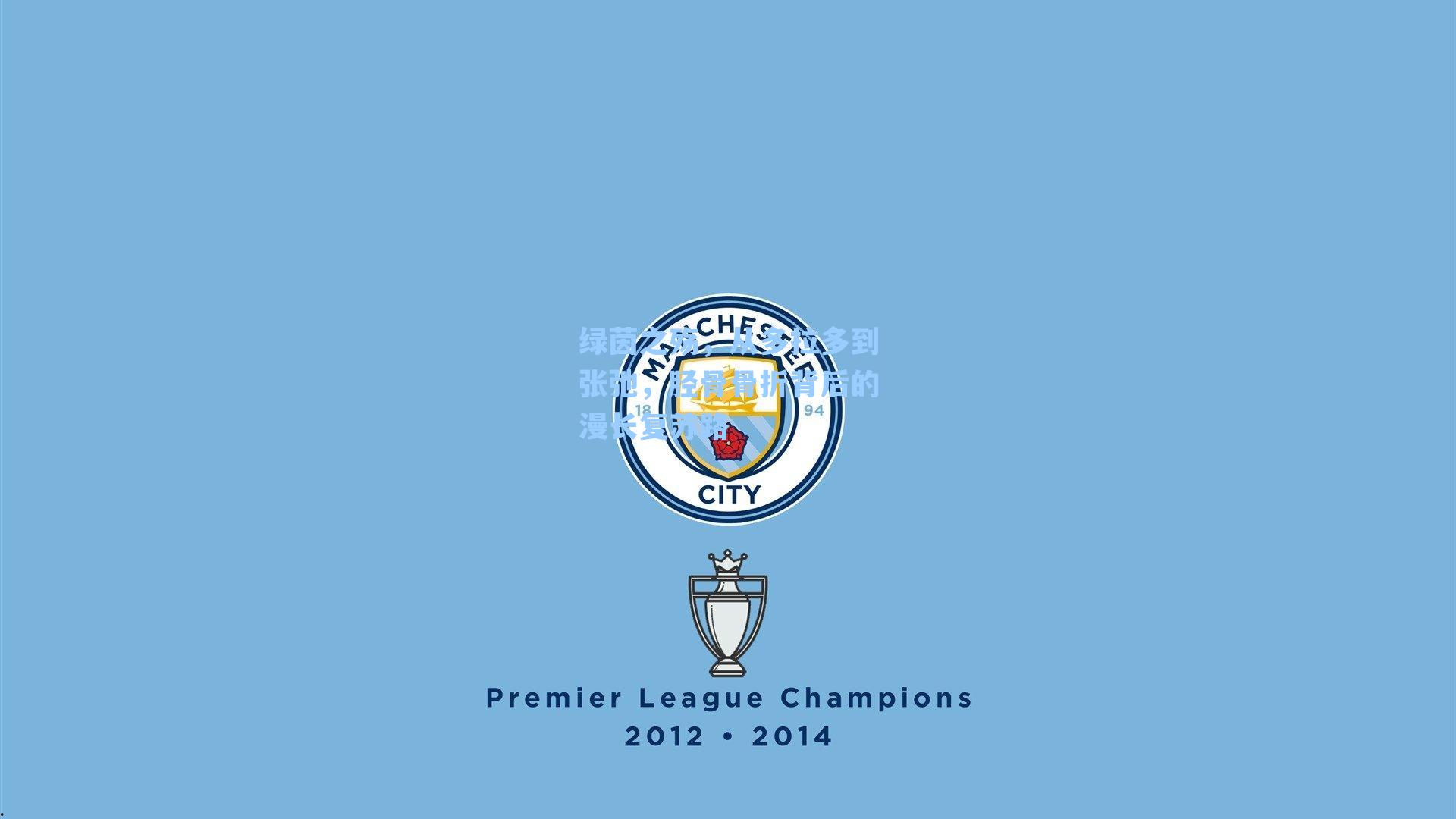 绿茵之殇,从多拉多到张弛,胫骨骨折背后的漫长复苏路